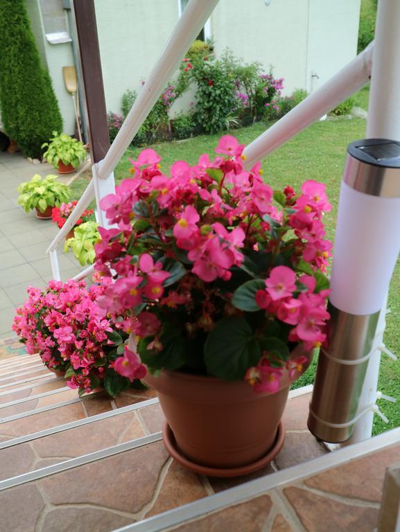 Apartment Luka Kuterevo Екстер'єр фото